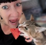 Kleintierbetreuung Freiburg